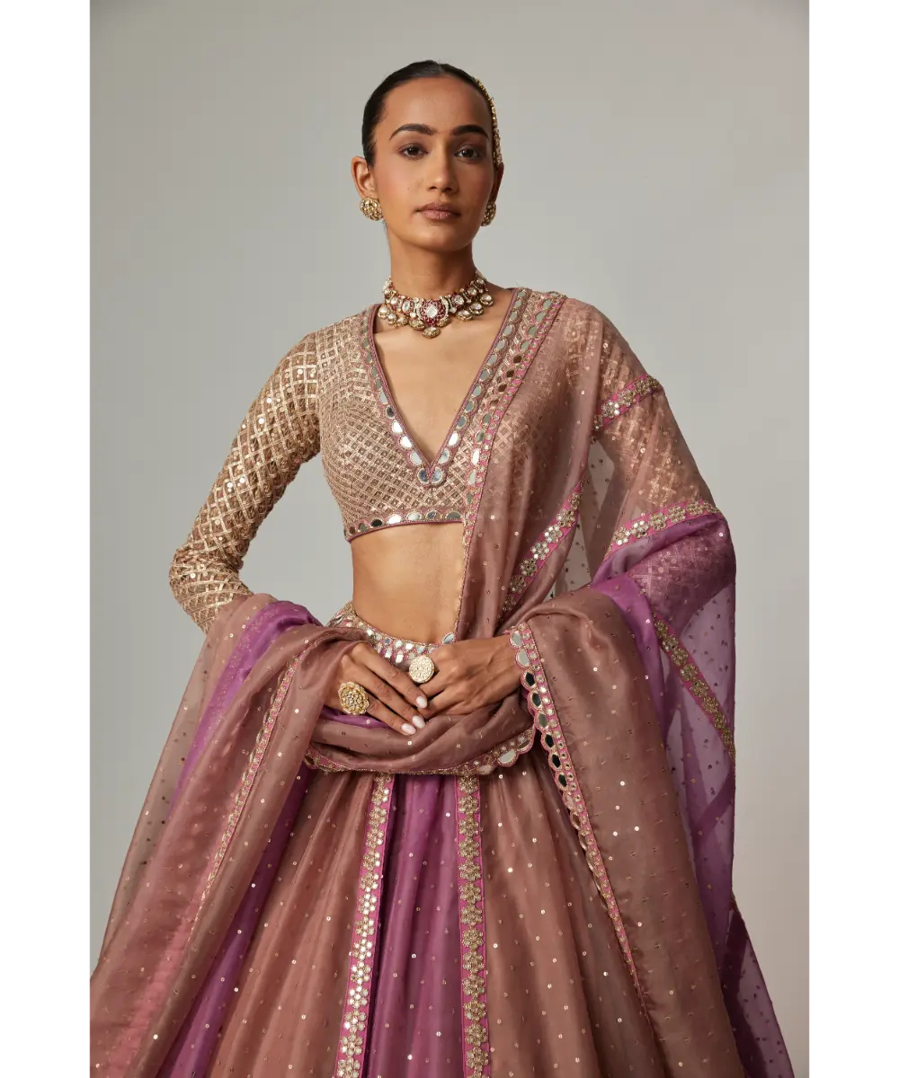 VVANI VATS - Mud mauve multicolor Chita Sequin Scattered Lehenga Set with V neck Full Sleeve